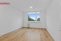 REMAX Delux