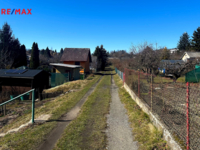 REMAX Delux