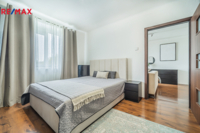 REMAX Delux