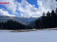 REMAX Brno
