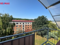 REMAX Delux