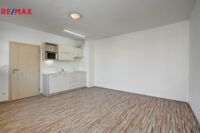Prodej bytu 1+kk, 29,8 m2, Brno