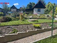 REMAX Delux
