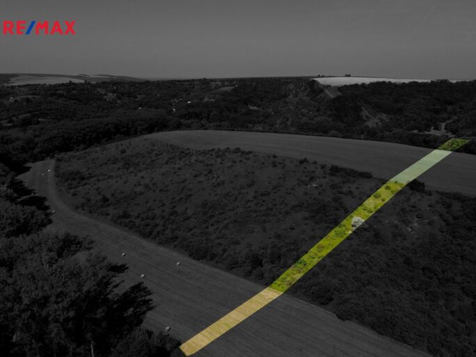 Prodej trvalého travního porostu, 4095 m2, Hustopeče - obrázek 2