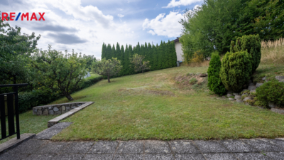 REMAX Delux