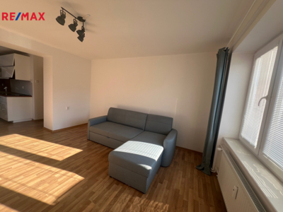 REMAX Delux