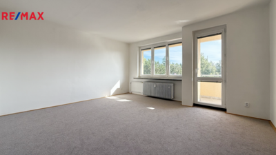REMAX Delux