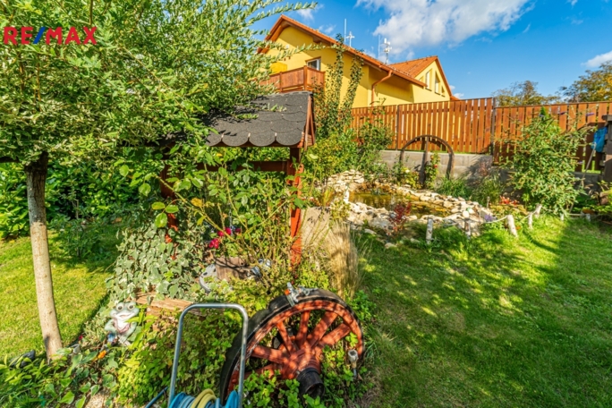 3033851.jpg 3033851.jpg