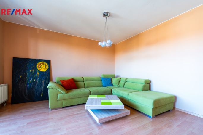 REMAX Delux REMAX Delux