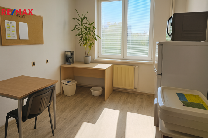 REMAX Brno