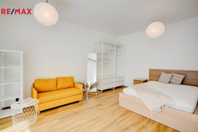 REMAX Delux