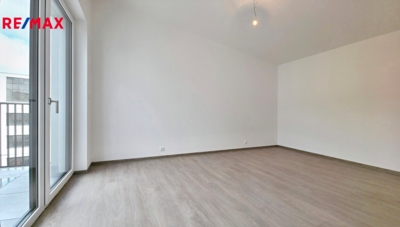 2874843.jpg