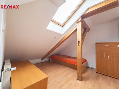 REMAX Delux