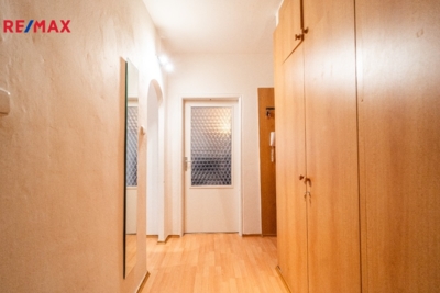 REMAX Delux