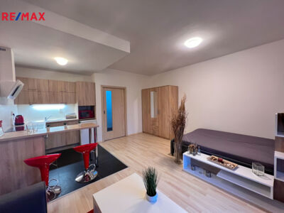 REMAX Delux