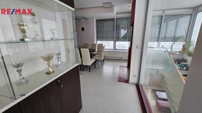 REMAX Delux