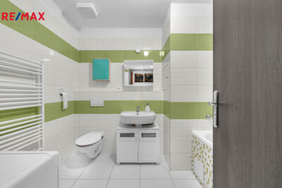 REMAX Delux