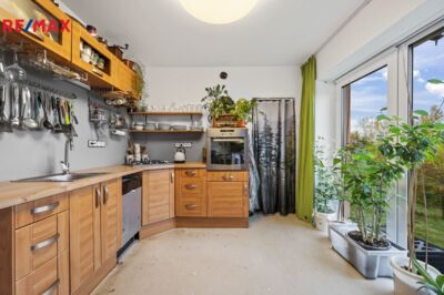 REMAX Delux