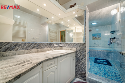 REMAX Delux