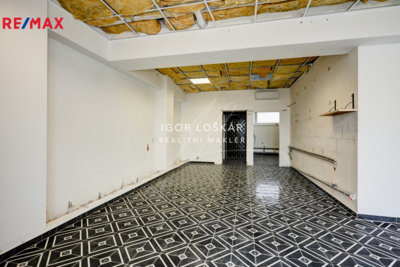REMAX Delux