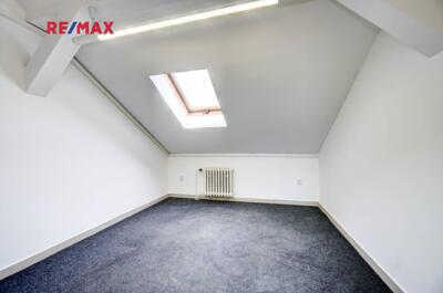 REMAX Delux