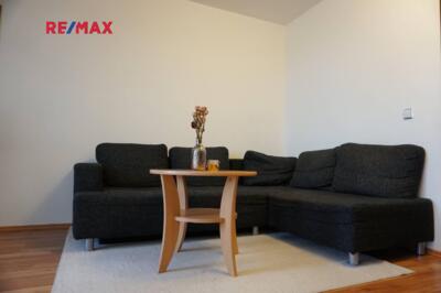 REMAX Delux