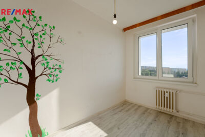 REMAX Delux