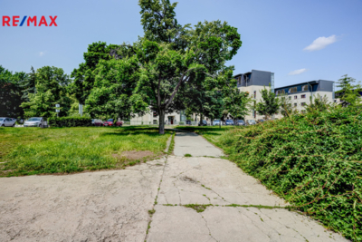 REMAX Delux