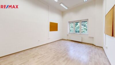 REMAX Delux