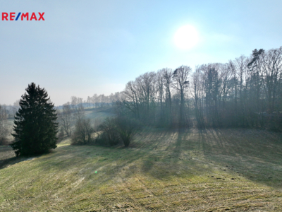 REMAX Delux