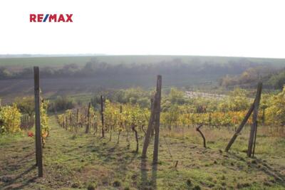 REMAX Brno