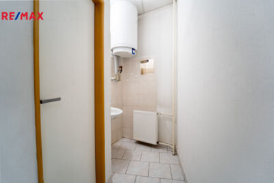 REMAX Delux