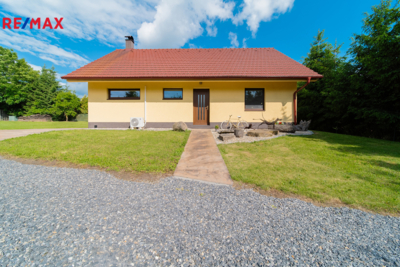 REMAX Delux