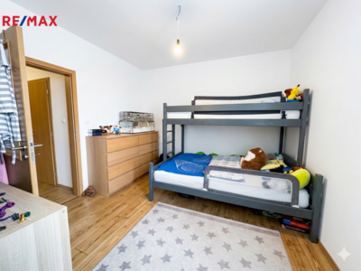 REMAX Delux