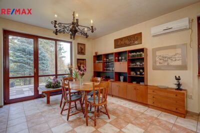 REMAX Delux