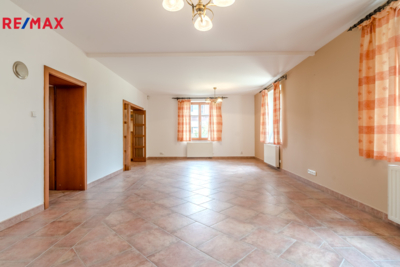REMAX Delux