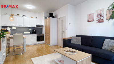 REMAX Brno