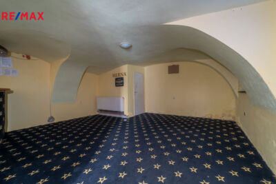 REMAX Delux