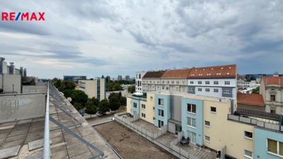 2903851.jpg