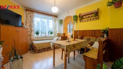 REMAX Delux