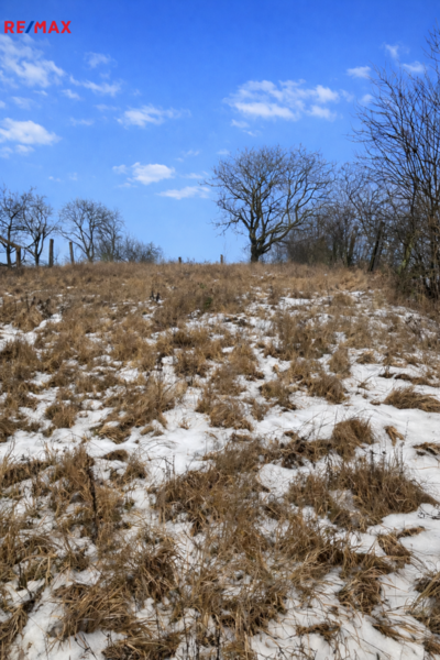 Realitní kancelář Brno