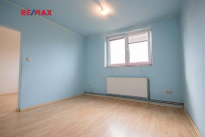 REMAX Delux