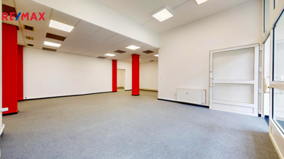 REMAX Delux