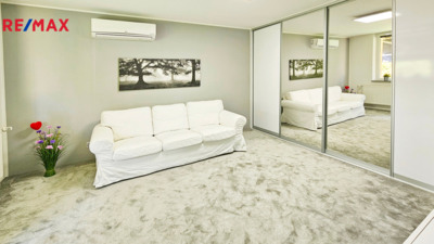 REMAX Delux