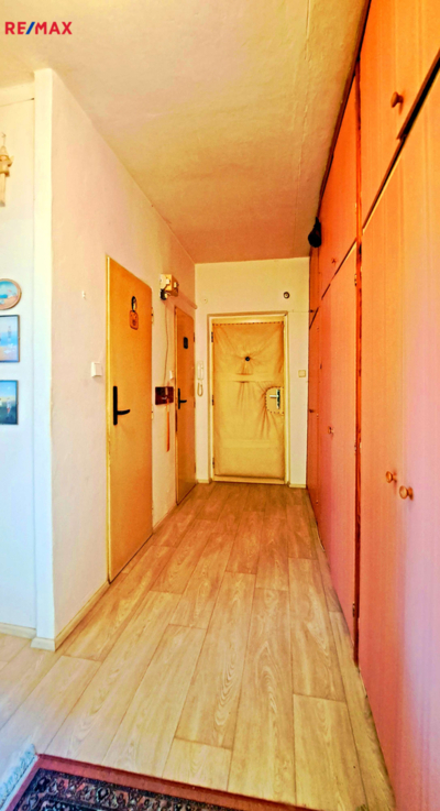 REMAX Brno