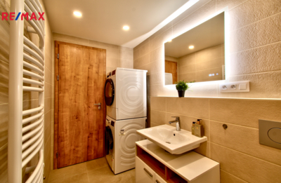 REMAX Delux