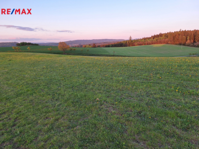 REMAX Delux