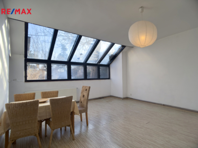 REMAX Delux