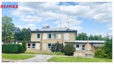 REMAX Delux REMAX Delux