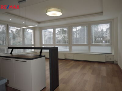 REMAX Brno